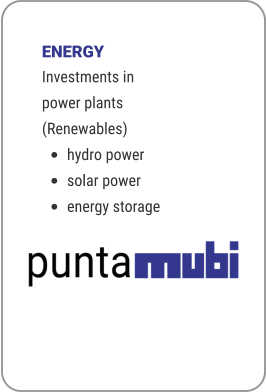 ENERGY Investments in power plants (Renewables) •	hydro power •	solar power •	energy storage