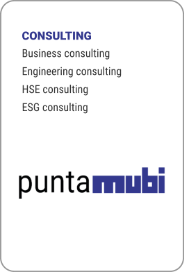 CONSULTING Business consulting Engineering consulting HSE consulting ESG consulting