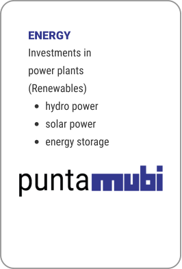 ENERGY Investments in power plants (Renewables) •	hydro power •	solar power •	energy storage